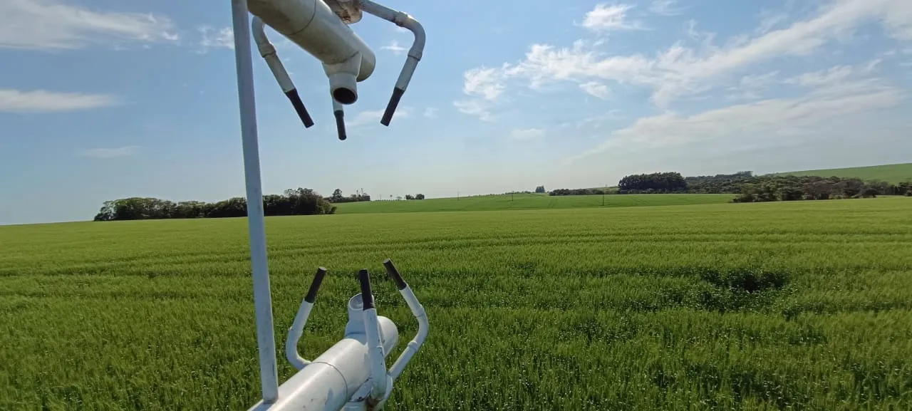 A measuring tower standing in a wheat field